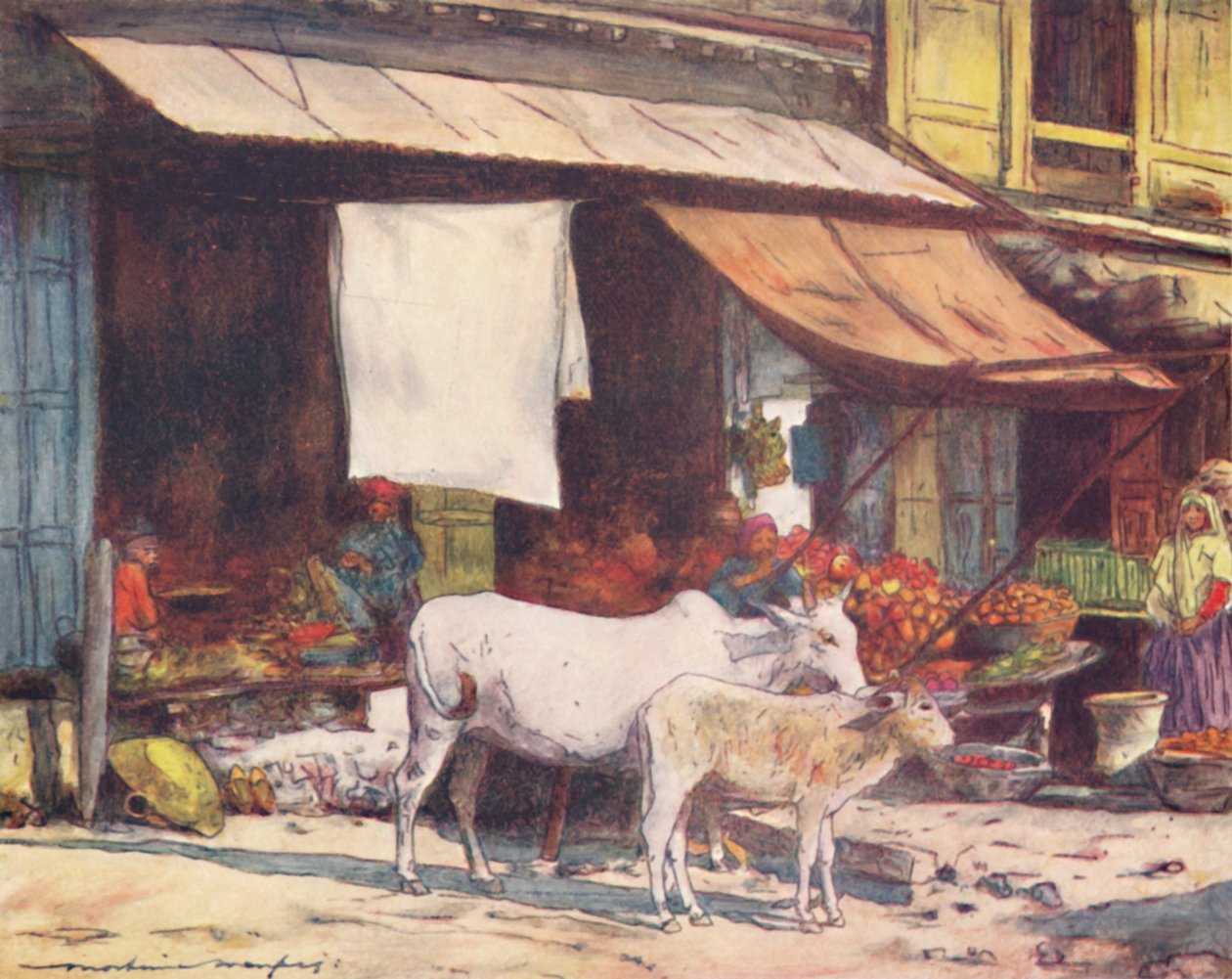 Hedelmämarkkinoiden kulma, Delhi, 1905 tekijältä Mortimer Ludington Menpes