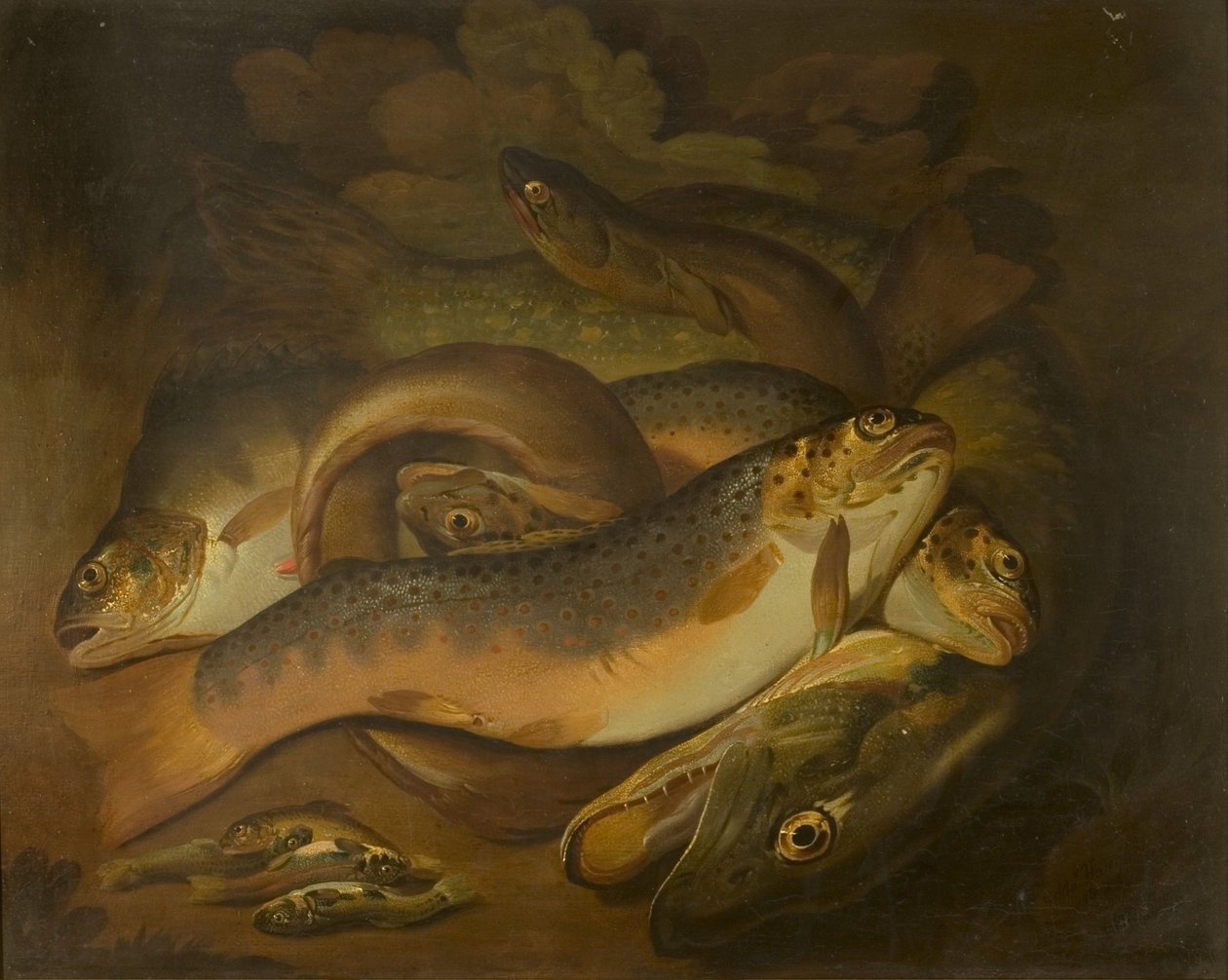 Kalat tekijältä Moses Haughton