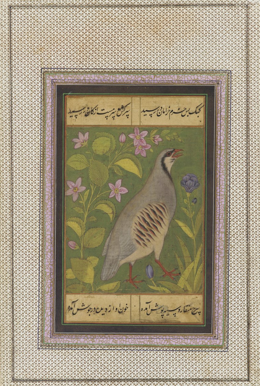 Chukar pelto, irrotettu käsikirjoitusfolio maalauksella, 1500-luvun loppu tekijältä Mughal School