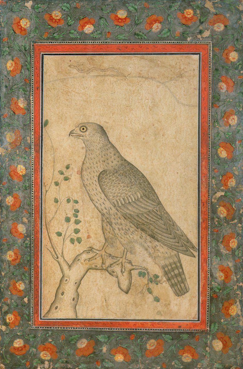 Haukka kyydissä vehreällä kannon päällä, n. 1650 tekijältä Mughal School