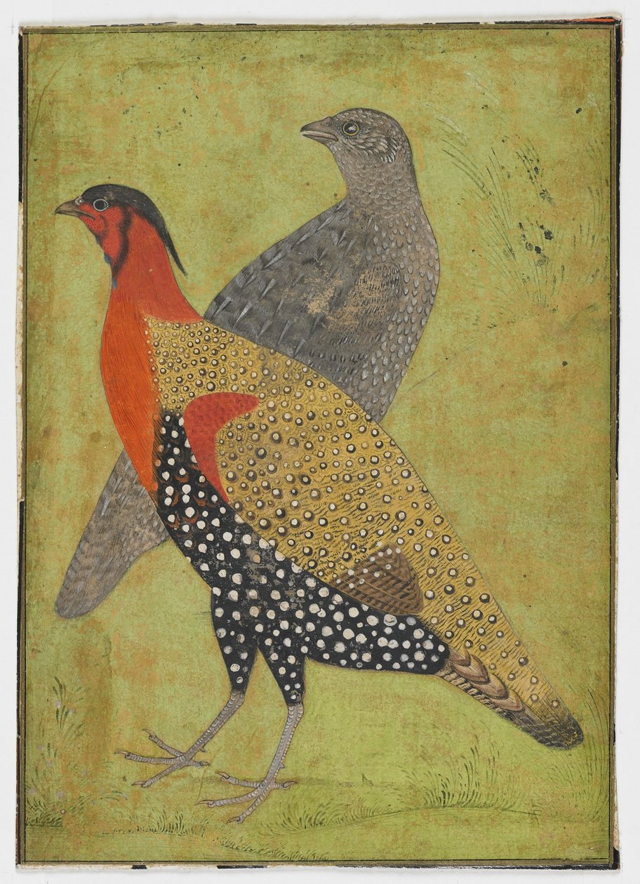 Kaksi fasaania, maalaus, 1600-luvun alku tekijältä Mughal School