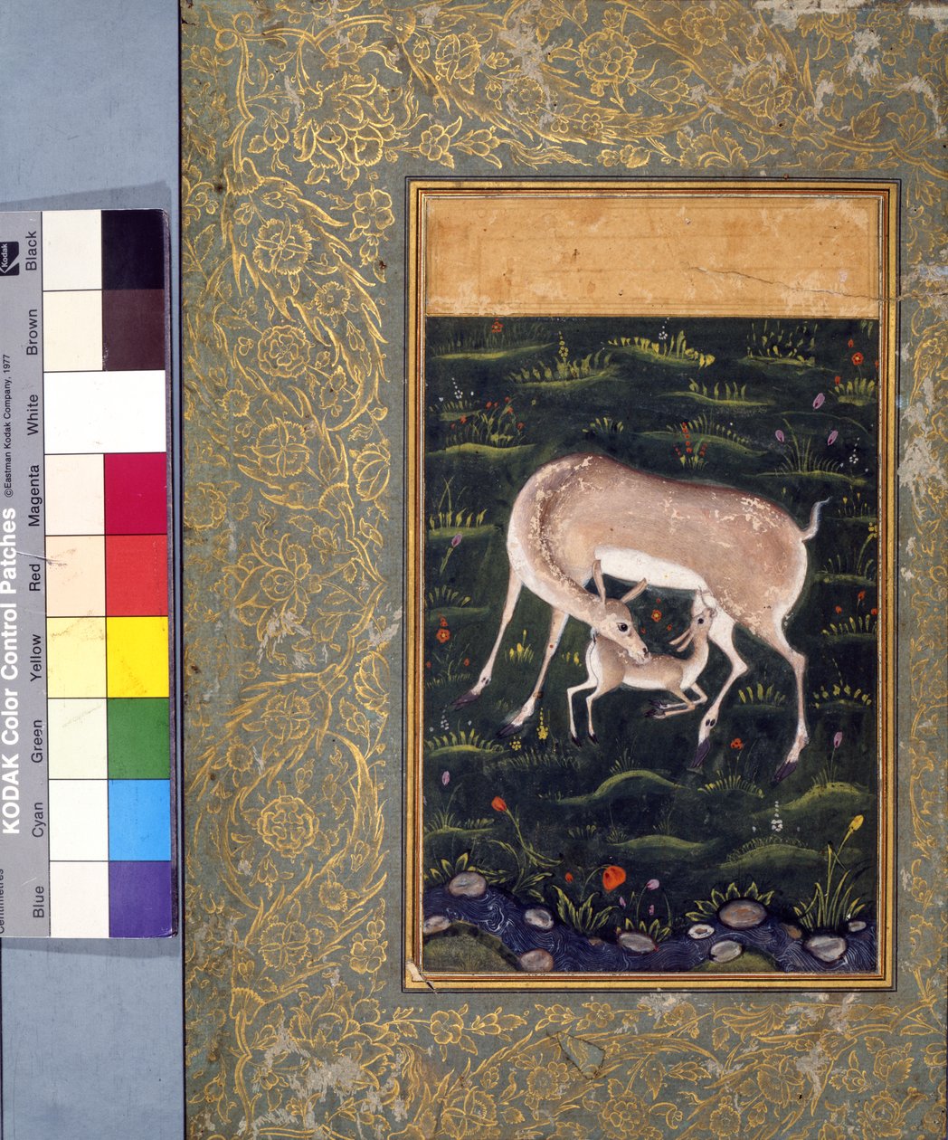 Vasaraansa imettävä naaras, n. 1560 (läpinäkymätön akvarelli ja kulta paperille) [katso myös 6040456] tekijältä Mughal School