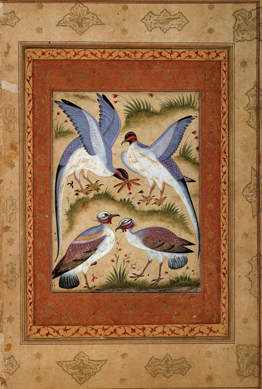 Linnut. Pienoisguassi moghole-koulusta. 1590-1600. Pariisi, Guimetin museo, Aasian taiteen kansallinen museo tekijältä Mughal School