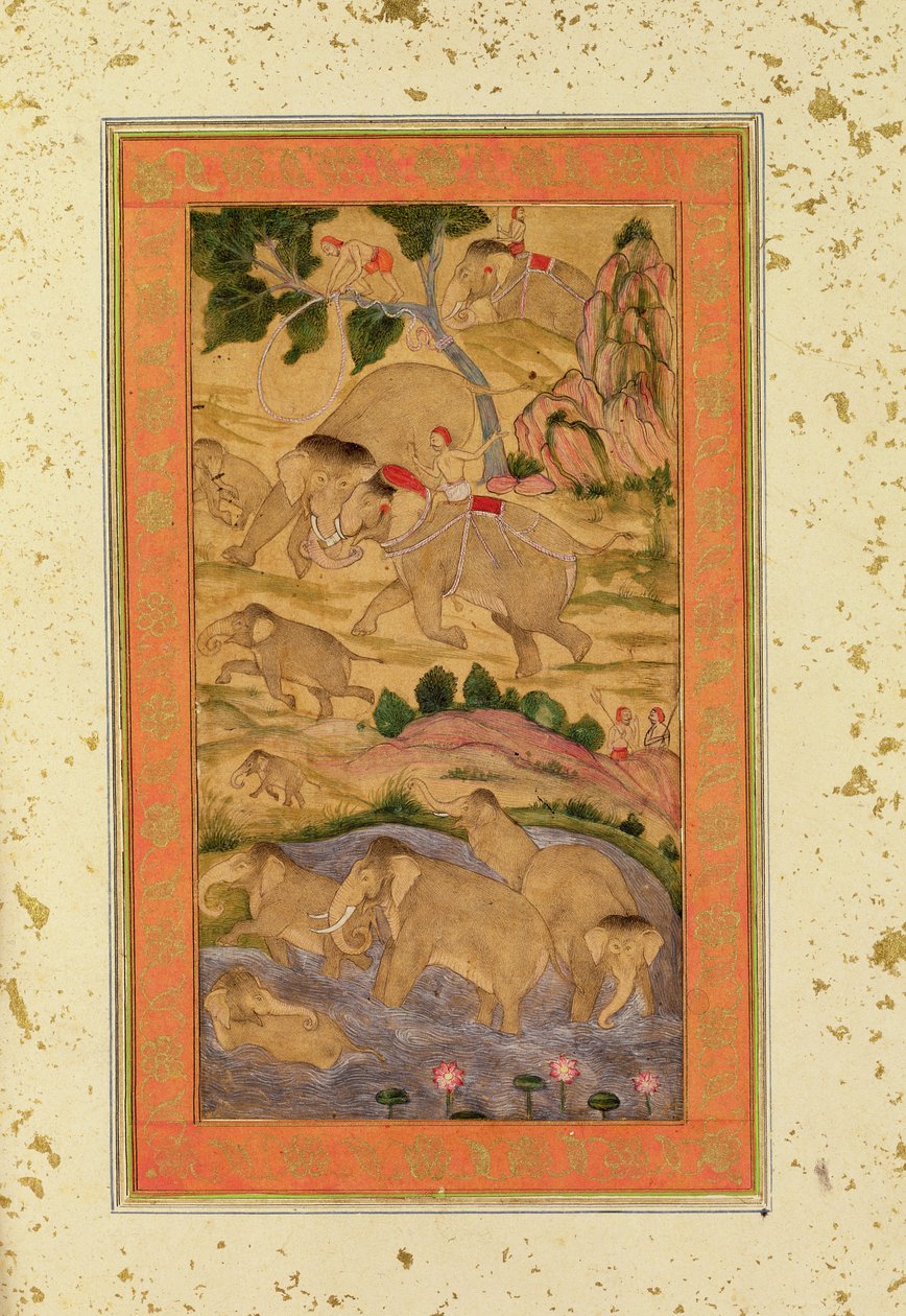 Hunters Capturing Elephants, Large Clive Albumista, n. 1760-65 (sävytetty piirros paperille) tekijältä Mughal School