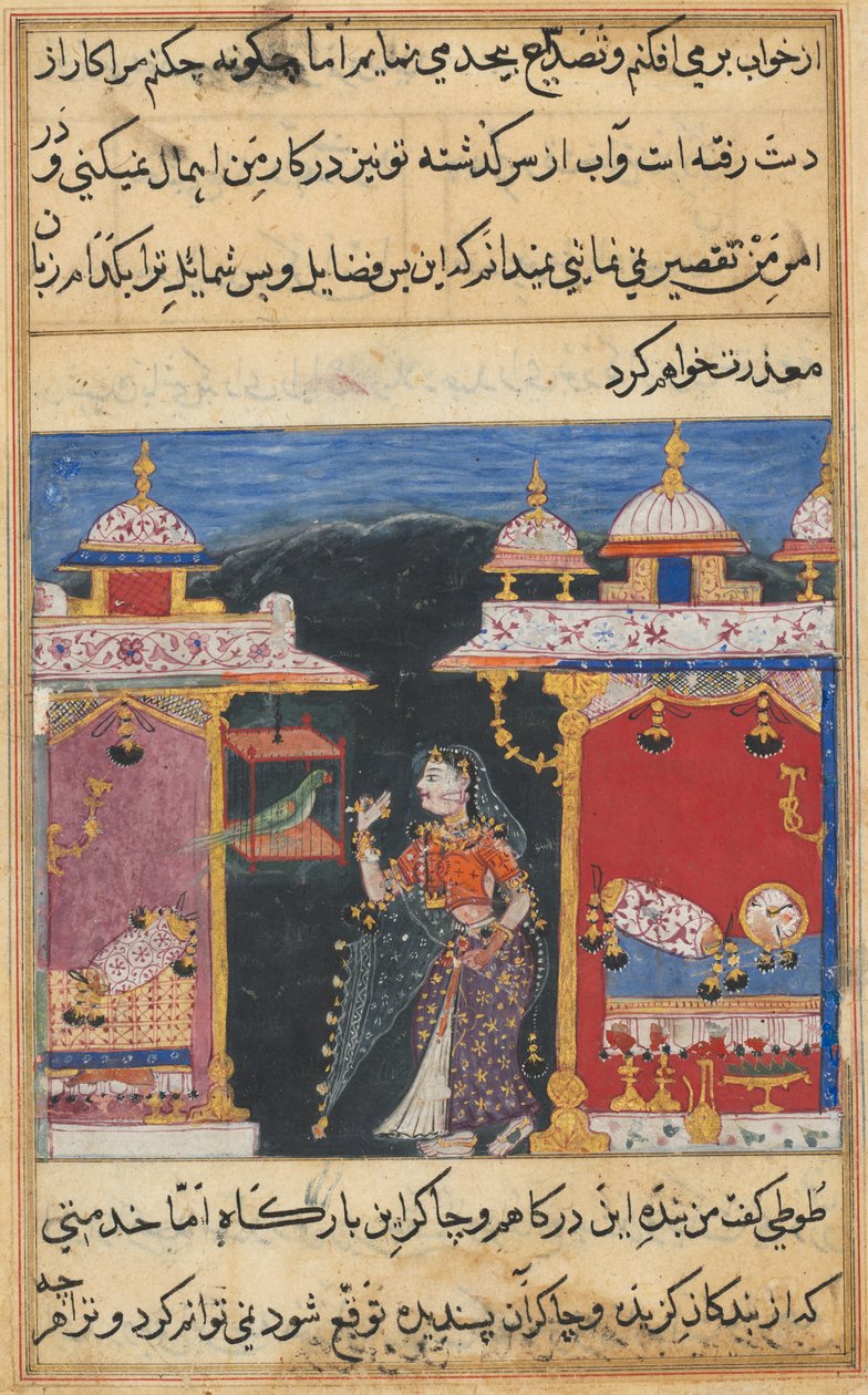 Sivu julkaisusta Tales of a Parrot tekijältä Mughal School