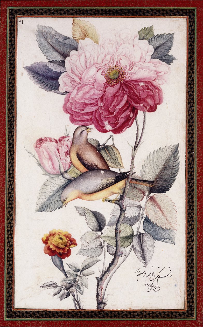 Gul-o Bulbul, n. 1849-50 (akvarelli paperille) tekijältä Muhammad Baqir