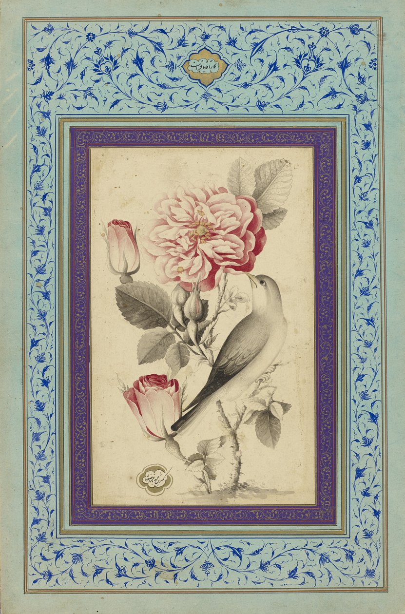 Ruusut ja satakieli, 1700-luvun loppu (muste ja väri paperille) tekijältä Muhammad Baqir