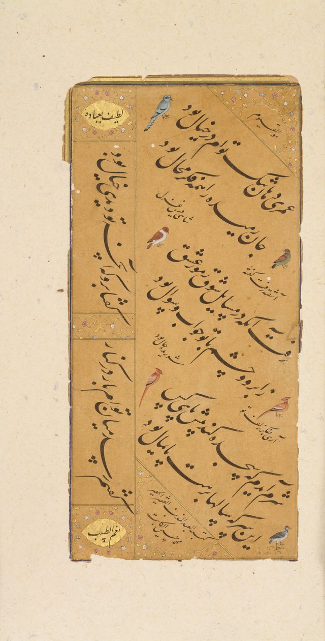 Kalligrafian sivu, 1500-luvun loppu. tekijältä Muhammad Husayn al Katib