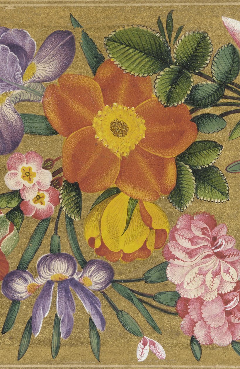 Sivu Pietarin albumista, Intia, 1727 (väri kultapohjalla) tekijältä Muhammad Sadiq