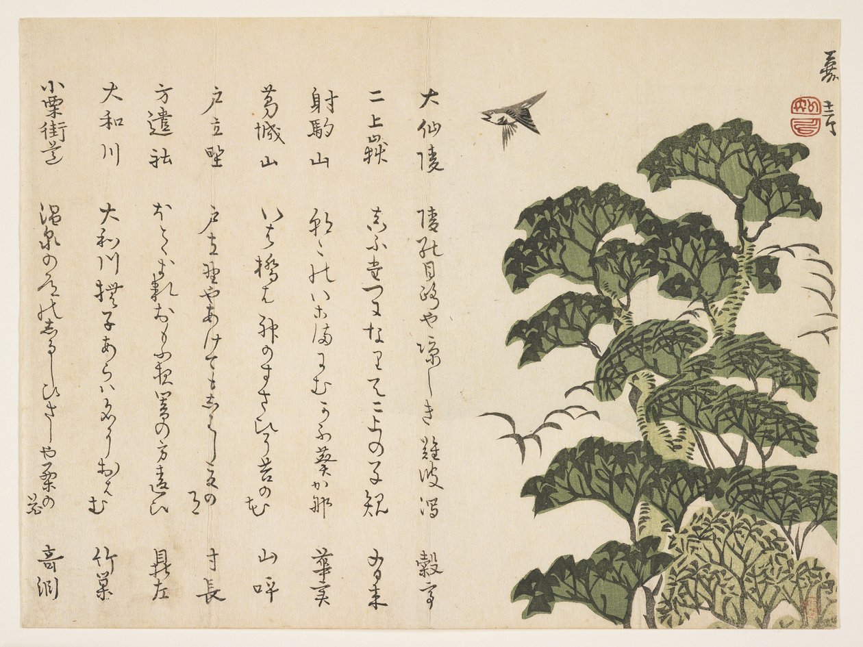 Iso puu ja lintuja, n.1830-44 (värillinen puupiirros) tekijältä Murata Kagen