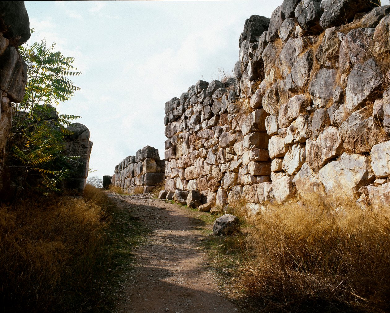 Mycenian taide: pääsy Mykeneen linnoituksen ylempään linnoitukseen, Tirynsiin, kaupunkiin noin 1200 eaa. Kreikka tekijältä Mycenaean