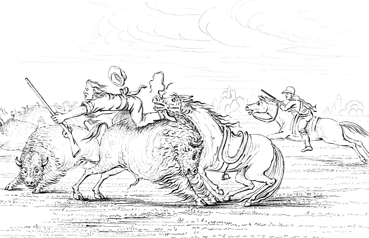 Buffalo hyökkää hevosen selässä olevan cowboyn kimppuun, 1841. tekijältä Myers and Co