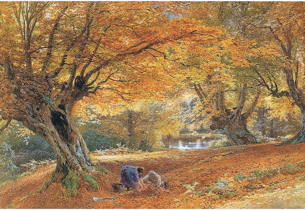 Burnhamin pyökit tekijältä Myles Birket Foster