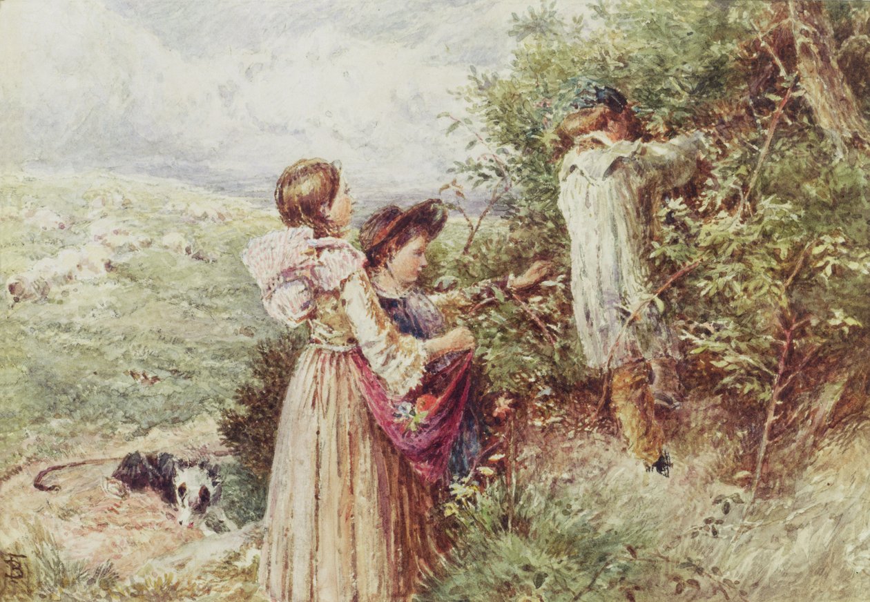 Lapset poimimassa karhunvatukkaa, 1800-luku tekijältä Myles Birket Foster