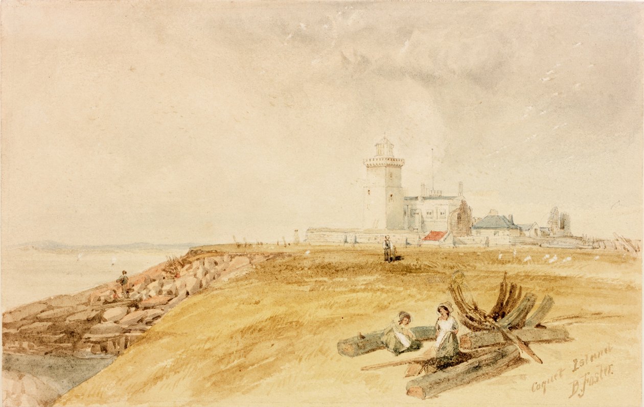 Coquet Island (kynä ja akvarelli paperille) tekijältä Myles Birket Foster