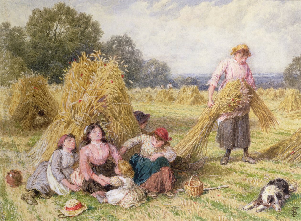Maissipelto tekijältä Myles Birket Foster