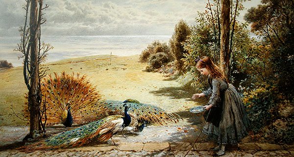 Riikinkukot (akvarelli paperille) tekijältä Myles Birket Foster