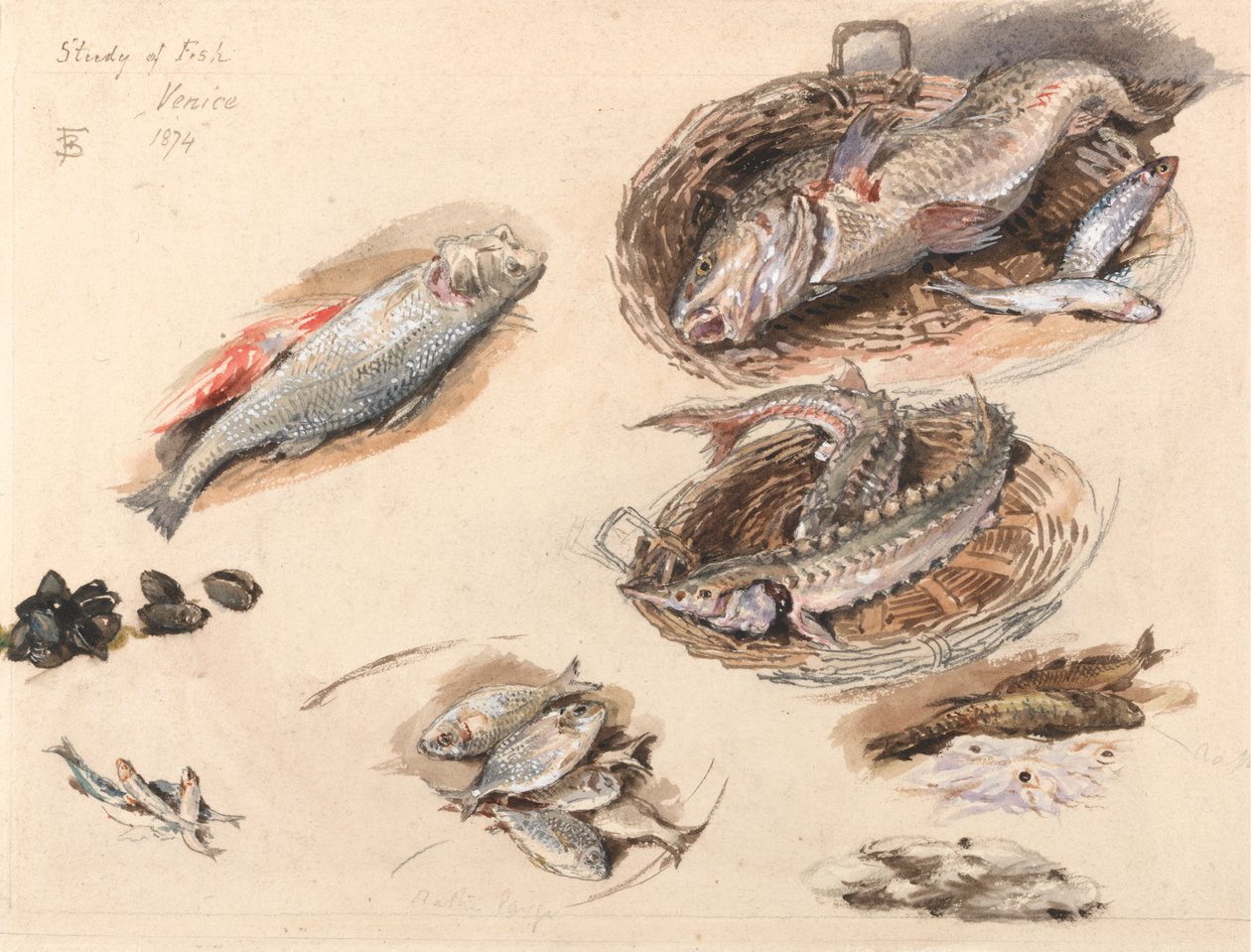 Kalatutkimus, Venetsia tekijältä Myles Birket Foster