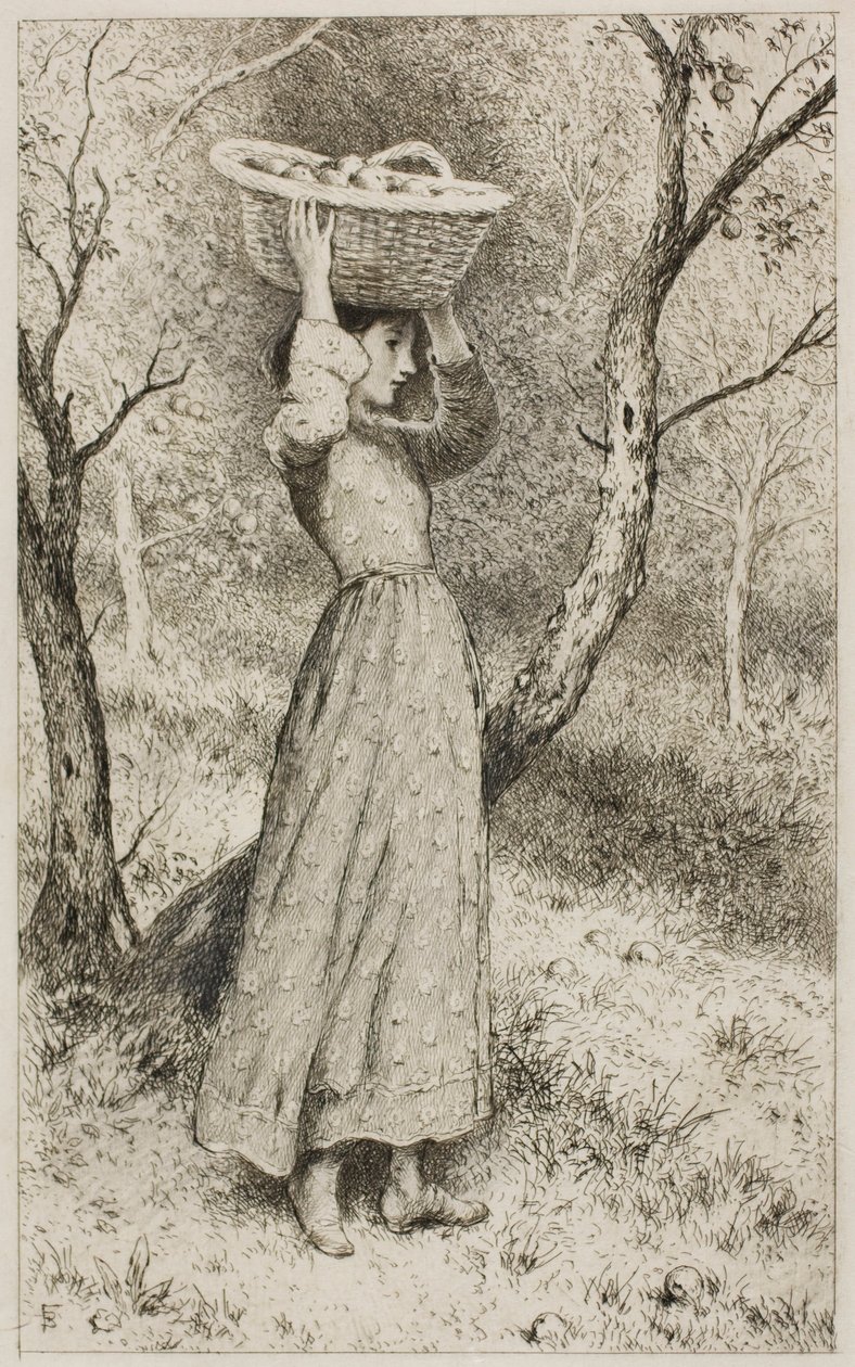 Nuori tyttö hedelmätarhassa hedelmäkorin kanssa tekijältä Myles Birket Foster