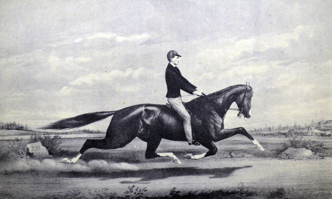 Currier & Ives -kuvitus 1800-luvulta. Juhlittu hevonen Dexter The King of the Turf tekijältä N. and Ives, J.M. Currier