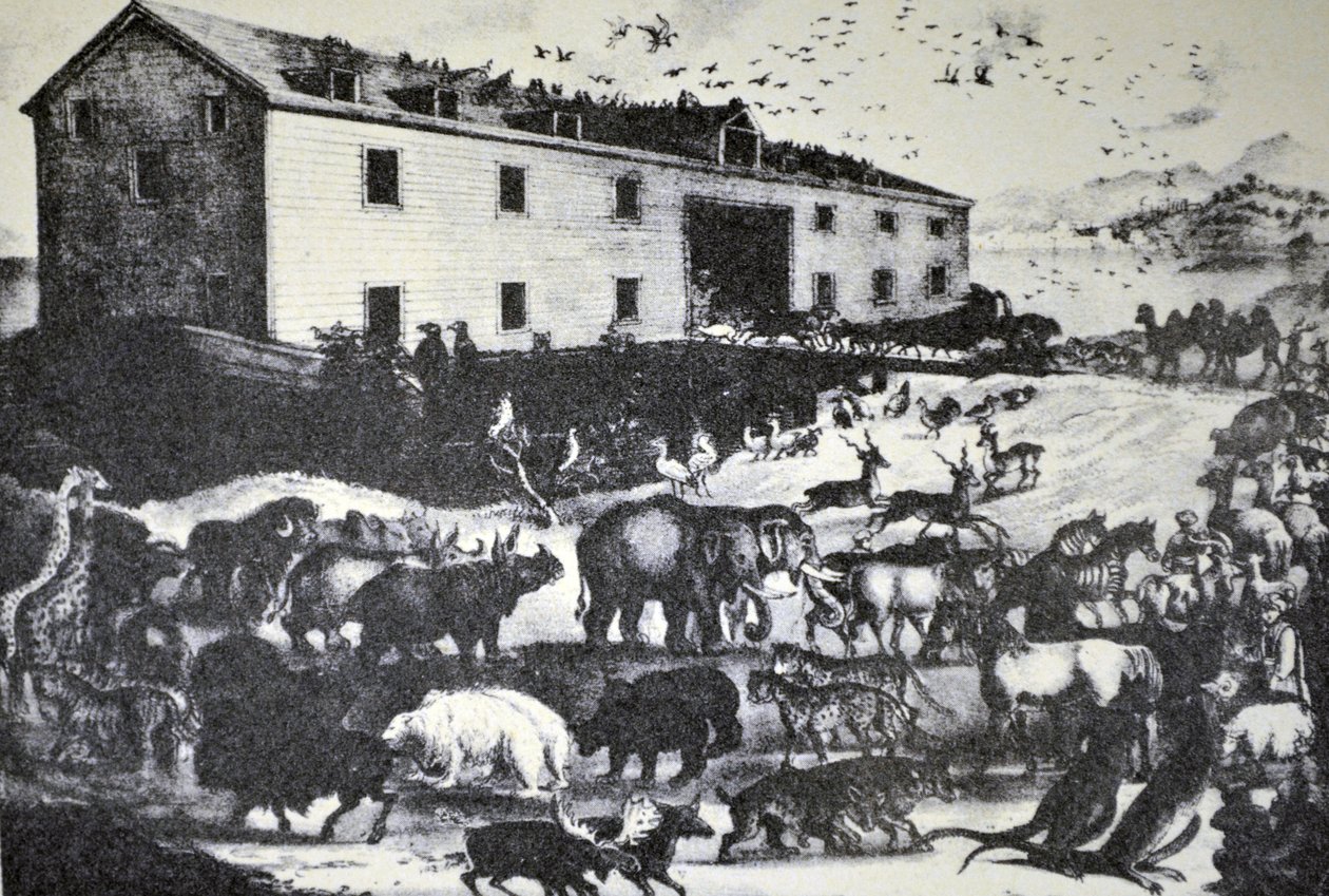 Currier & Ives -kuvitus 1800-luvulta. Nooan arkki tekijältä N. and Ives, J.M. Currier