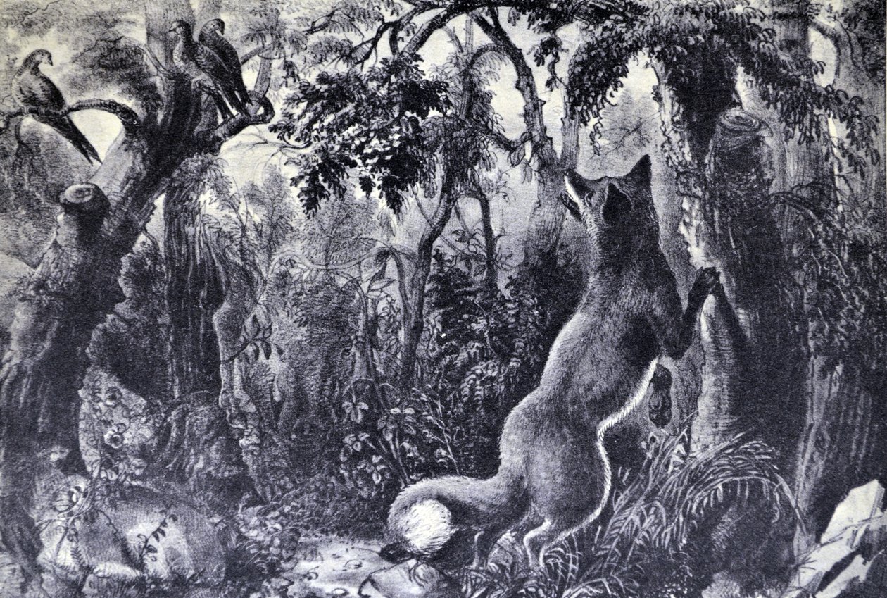 Currier & Ives -kuvitus 1800-luvulta. Hämmentynyt kettu tekijältä N. and Ives, J.M. Currier