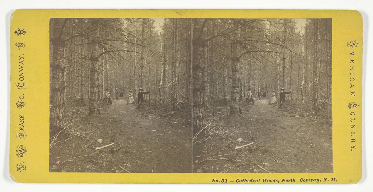 Cathedral Woods, North Conway, N.H., 1800-luvun puoliväli. tekijältä N.W. Pease