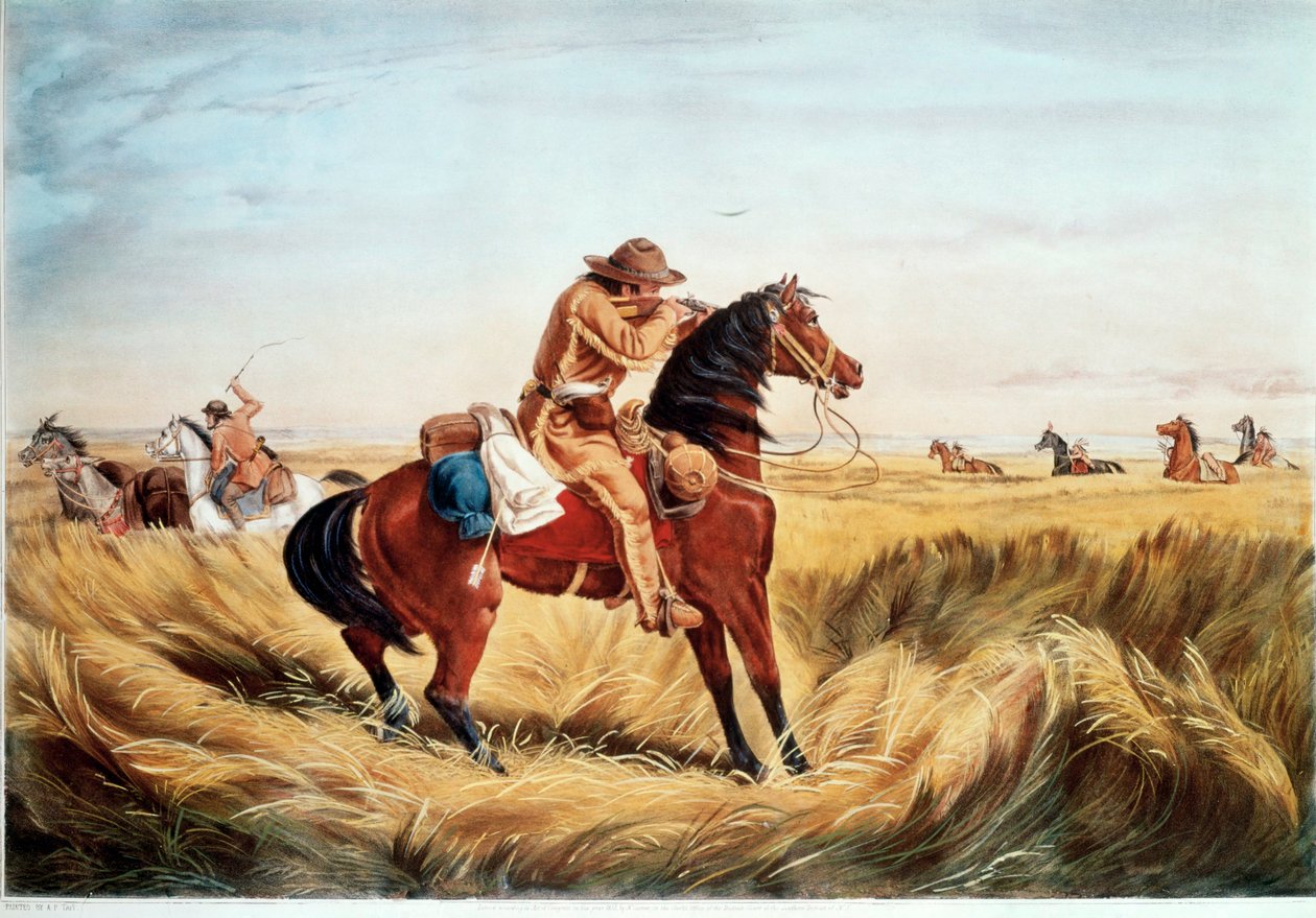 Tarkistus - pidä etäisyyttä (värillinen painatus) tekijältä N. and Ives J.M. (1824-95) Currier