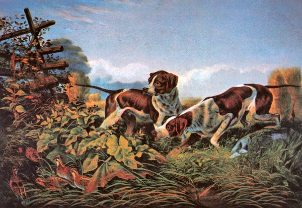 Amerikkalainen kenttäurheilu: On a Point tekijältä Currier and Ives