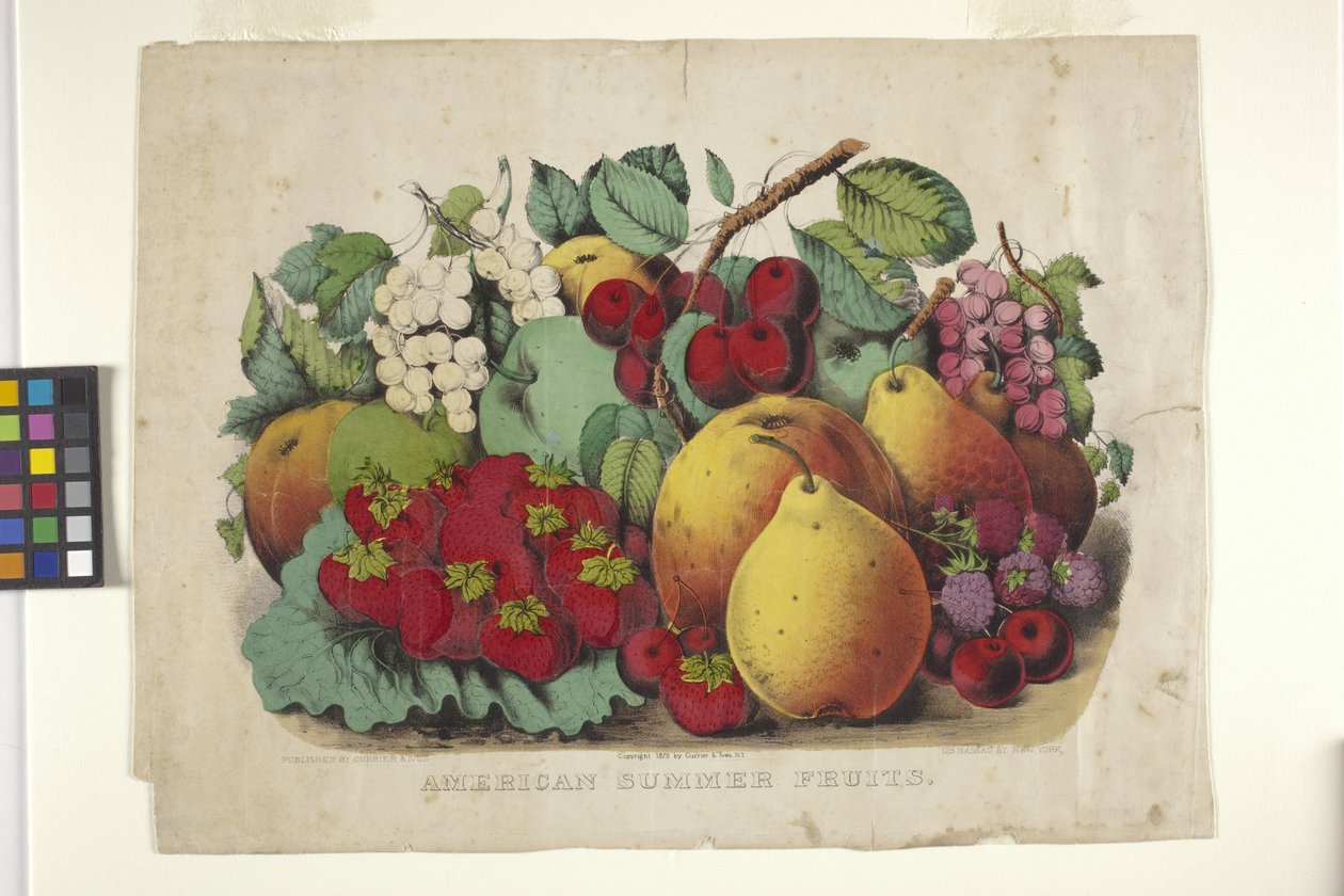 American Summer Fruit (käsinvärjätty litografia) tekijältä N. and Ives J.M. (1824 95) Currier