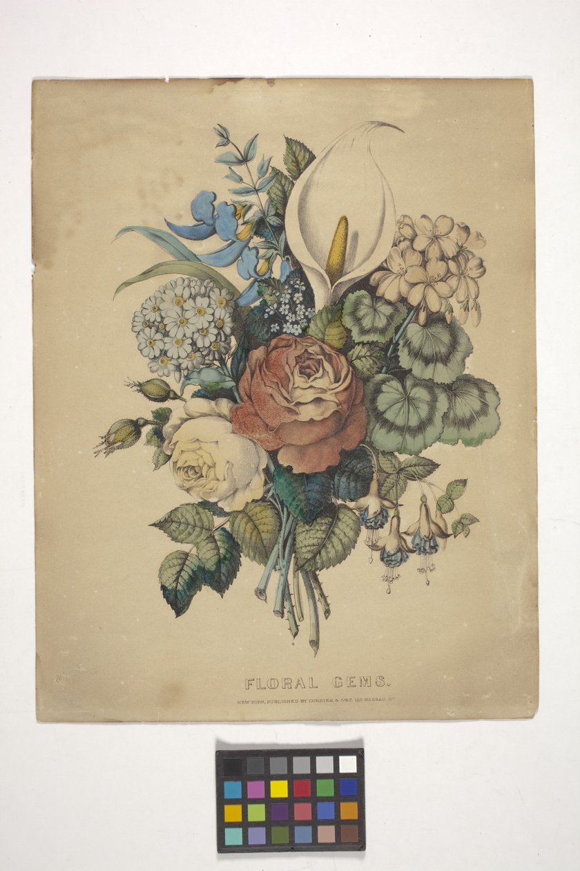 Kukkahelmi (käsinvärinen litografia) tekijältä N. and Ives J.M. (1824 95) Currier