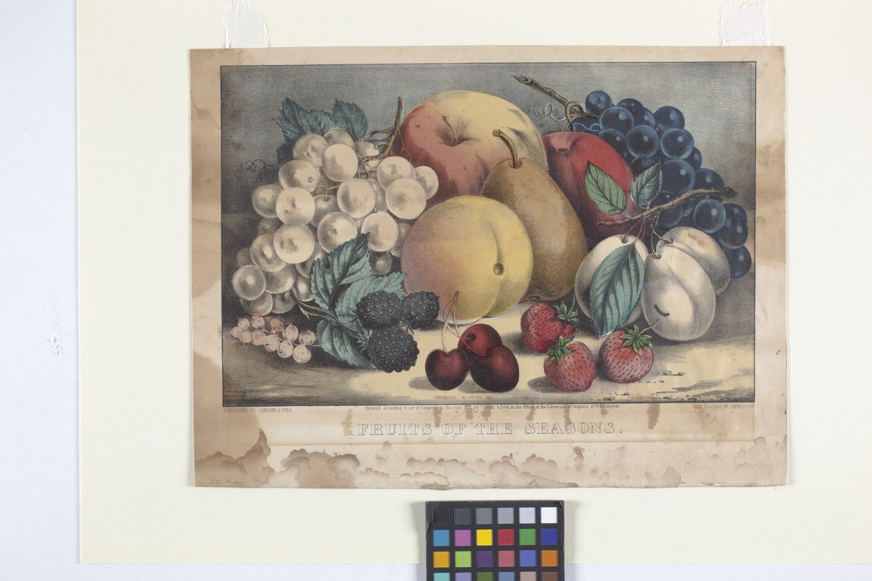 Fruits Of The Season (käsinvärjätty litografia) tekijältä N. and Ives J.M. (1824 95) Currier