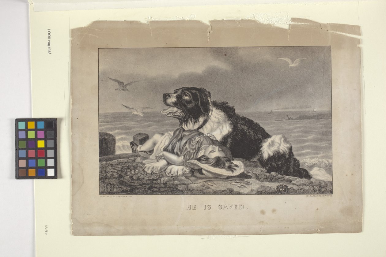 Hän on pelastettu (käsin värjätty litografia) tekijältä N. and Ives J.M. (1824 95) Currier