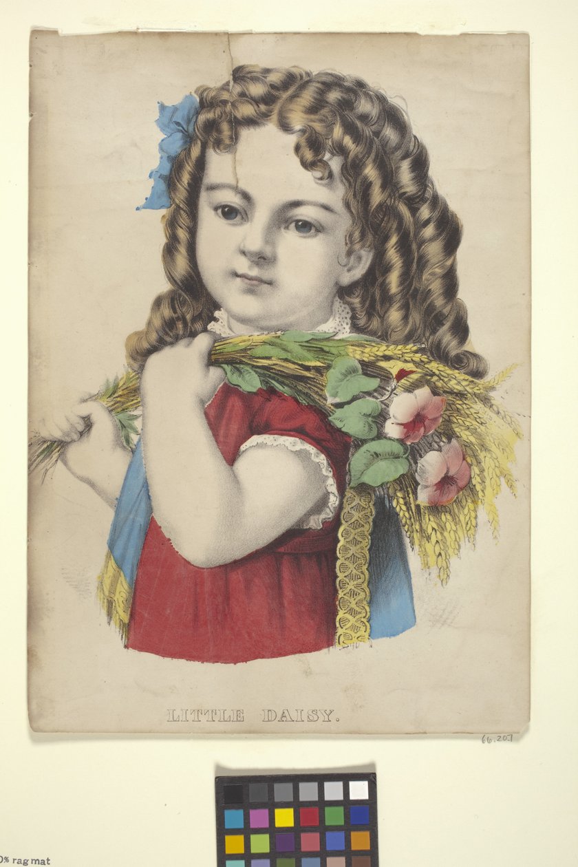 Little Daisy (käsinvärinen litografia) tekijältä N. and Ives J.M. (1824 95) Currier
