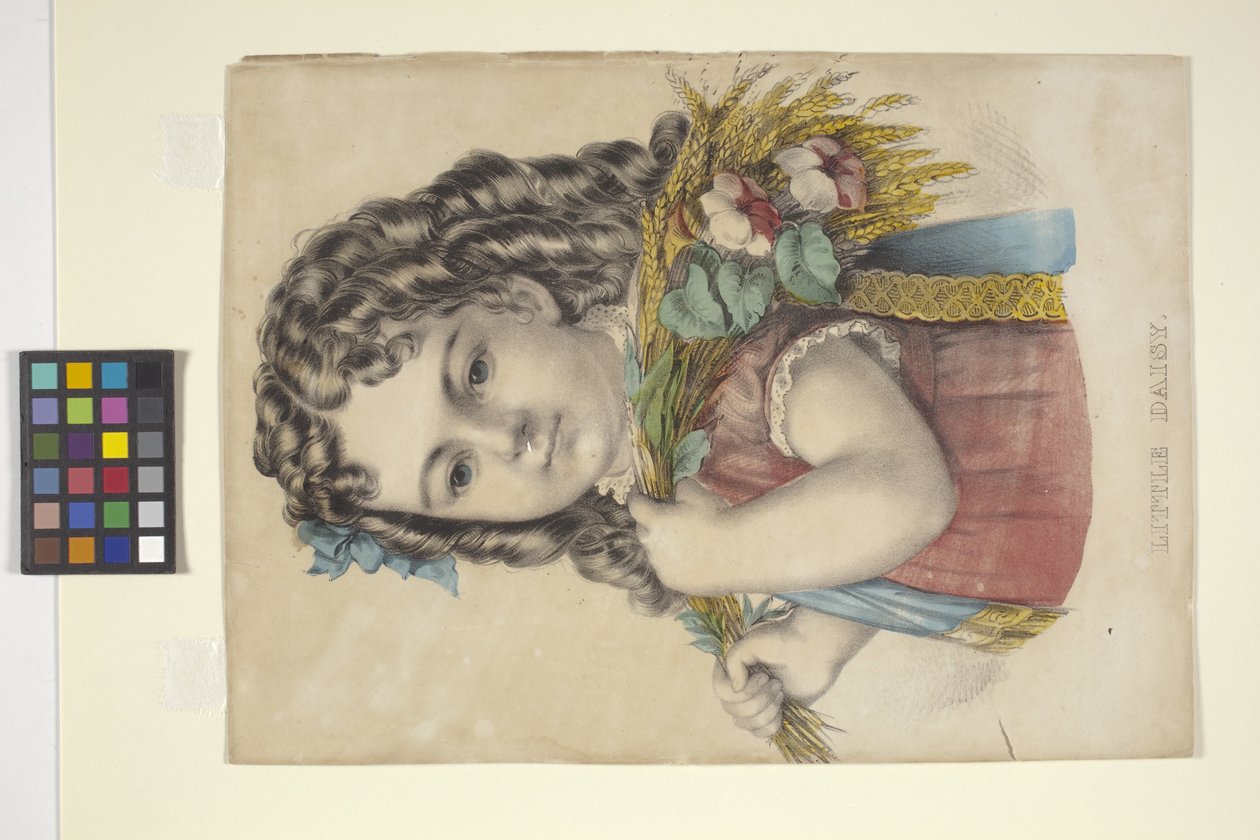 Little Daisy (käsinvärinen litografia) tekijältä N. and Ives J.M. (1824 95) Currier