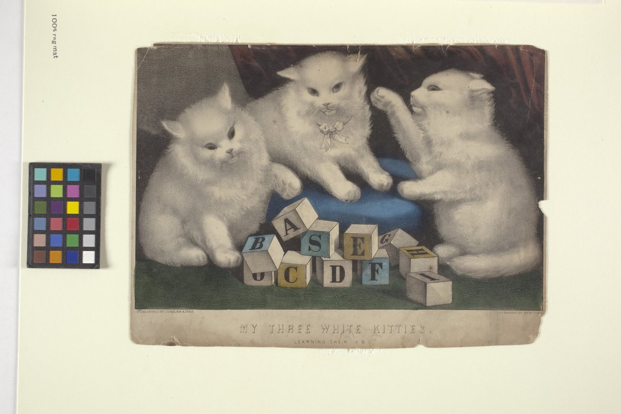 Minun kolme valkoista kissanpentua (käsinvärinen litografia) tekijältä N. and Ives J.M. (1824 95) Currier
