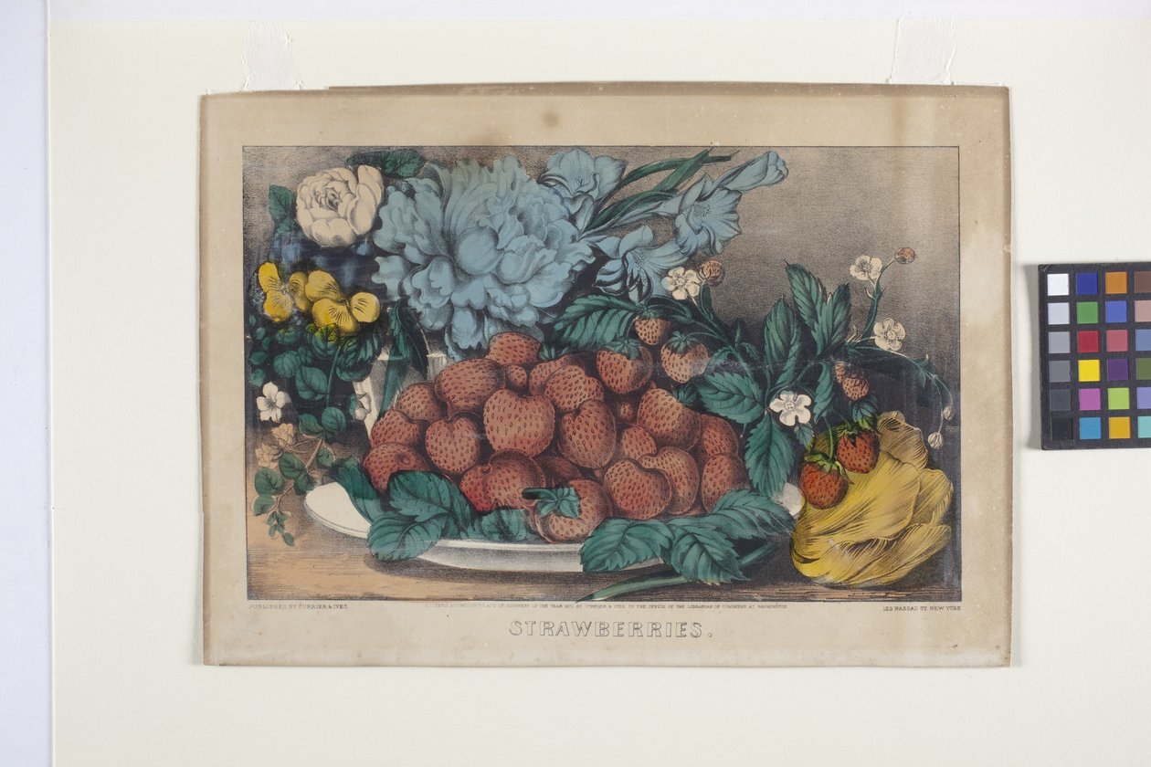 Mansikat (käsinvärinen litografia) tekijältä N. and Ives J.M. (1824 95) Currier