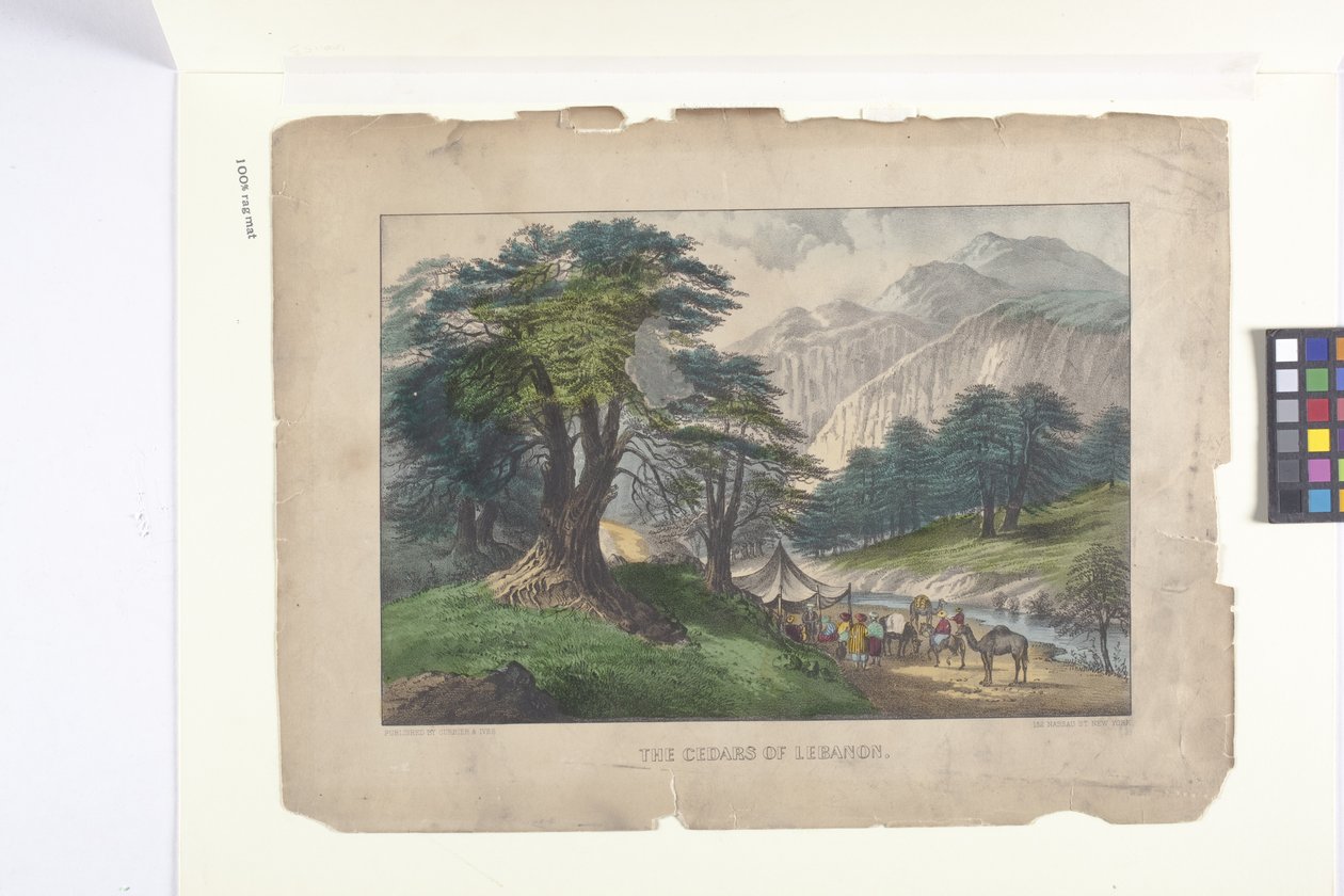 The Cedars Of Lebanon (litografie colorată manual) finlandez tekijältä N. and Ives J.M. (1824 95) Currier