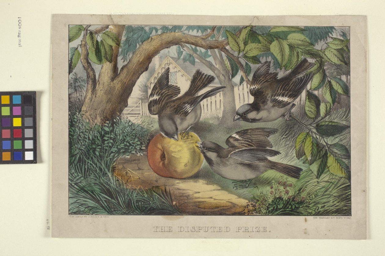 Kiistanalainen palkinto (käsinvärjätty litografia) tekijältä N. and Ives J.M. (1824 95) Currier