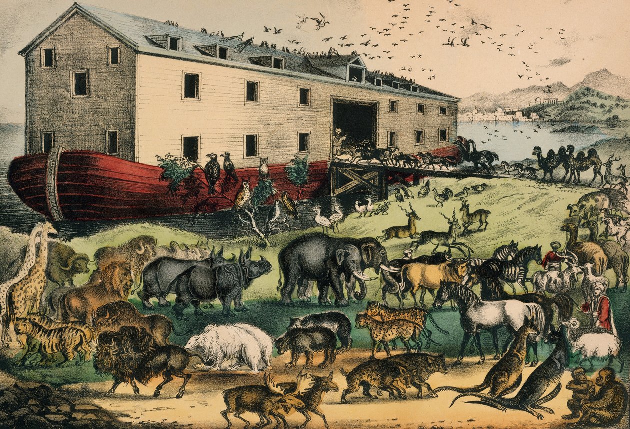 Nooan arkki, 1874-78 (käsin väritetty litografia) tekijältä N. and Ives, J.M. Currier
