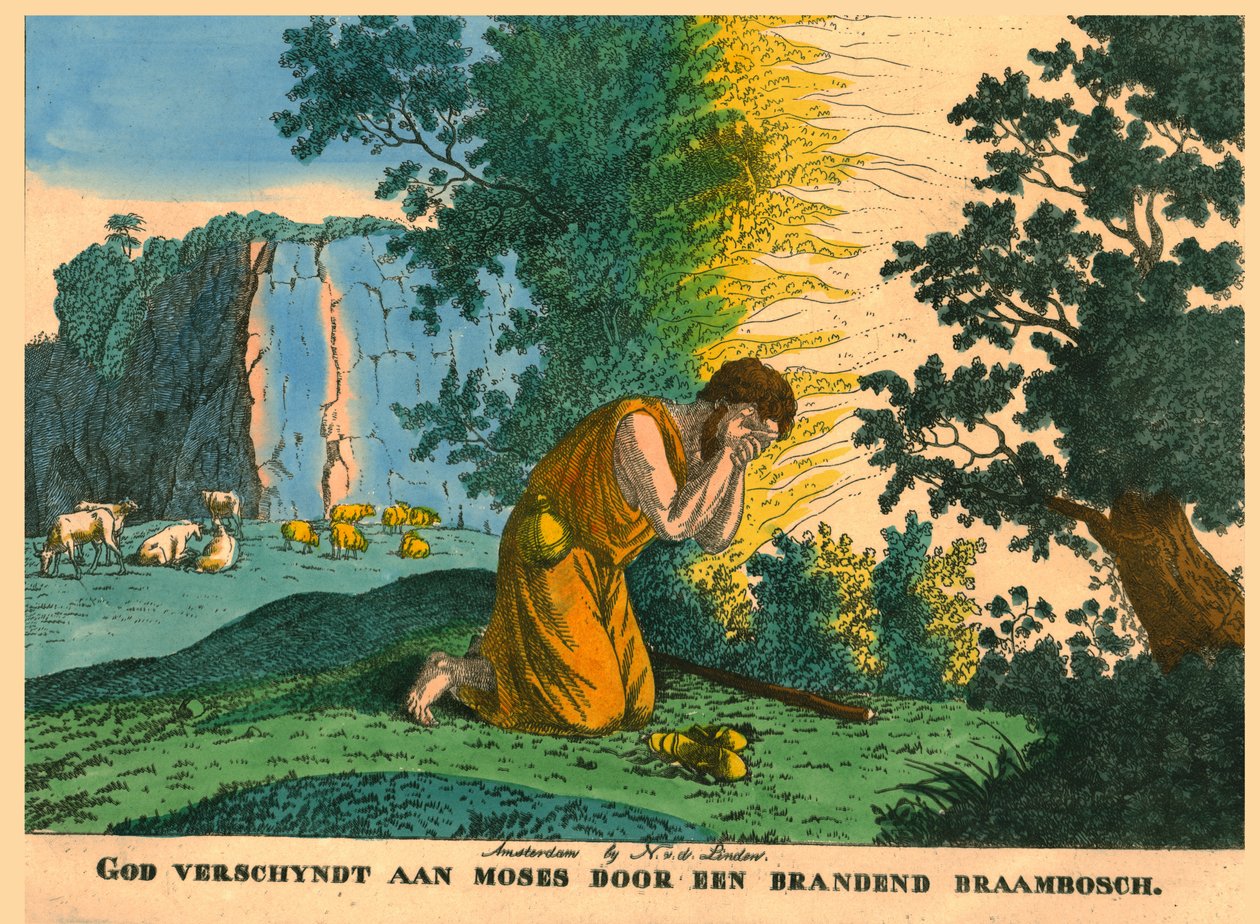 Mooses ja palava pensas. tekijältä N v d Linden