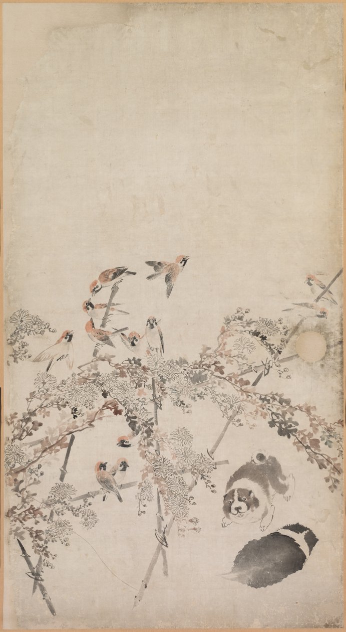 Pennut, varpuset ja krysanteemit, 1754-1799. tekijältä Nagasawa Rosetsu