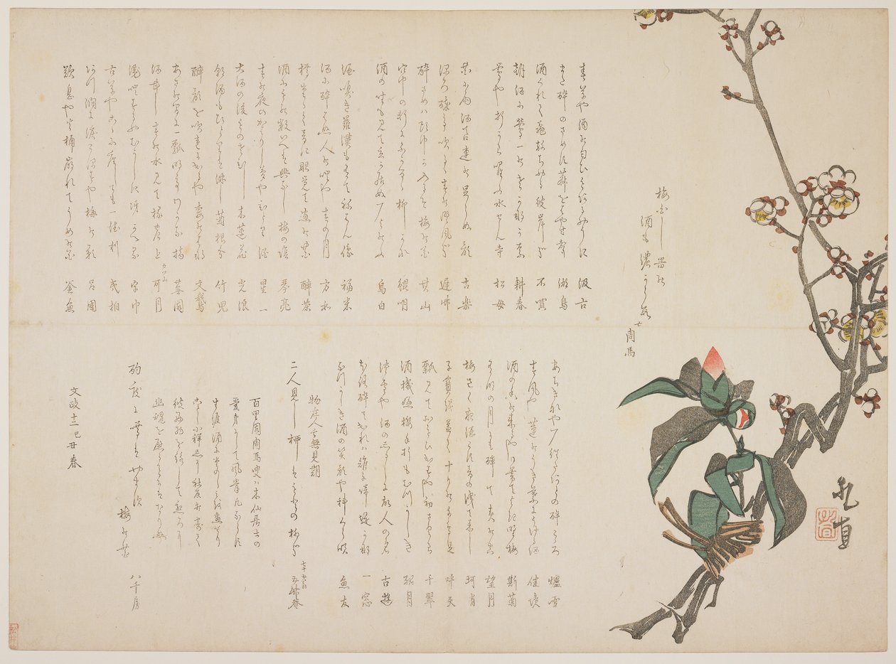 Luumun ja kamelian oksat, 1829 (värillinen puupainatus) tekijältä Nagayama Kchoku