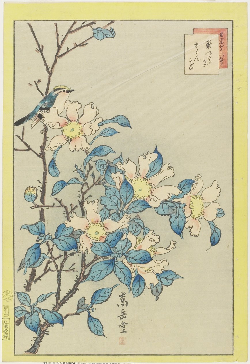 Sininen lintu ja vaaleanpunaiset kukat, 1859 (värillinen puupainatus) tekijältä Nakayama Sugakudo
