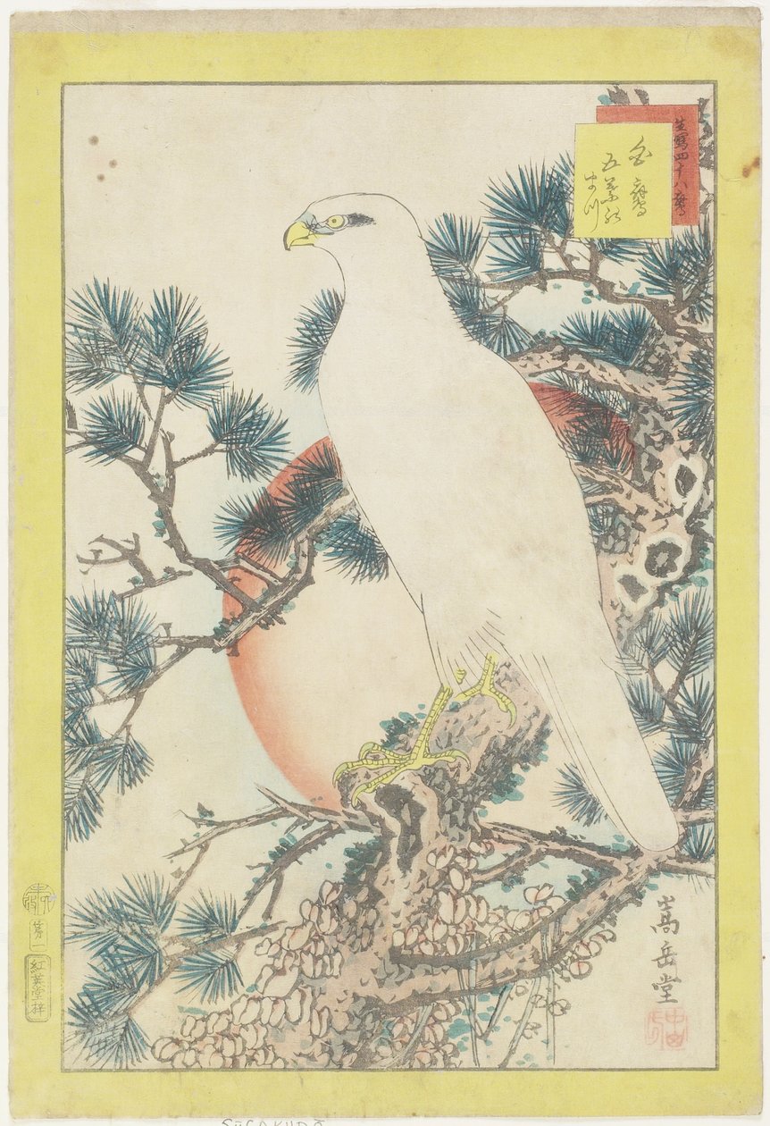 Nro 1, White Falcon ja Five-Neele Pine, 1859 (värillinen puupainatus) tekijältä Nakayama Sugakudo