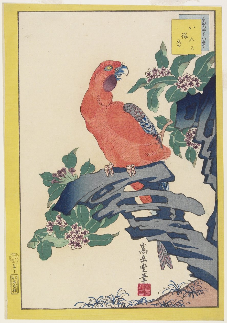 Pink Parrot on Rock, 1859 (värillinen puupalikkaprintti) tekijältä Nakayama Sugakudo