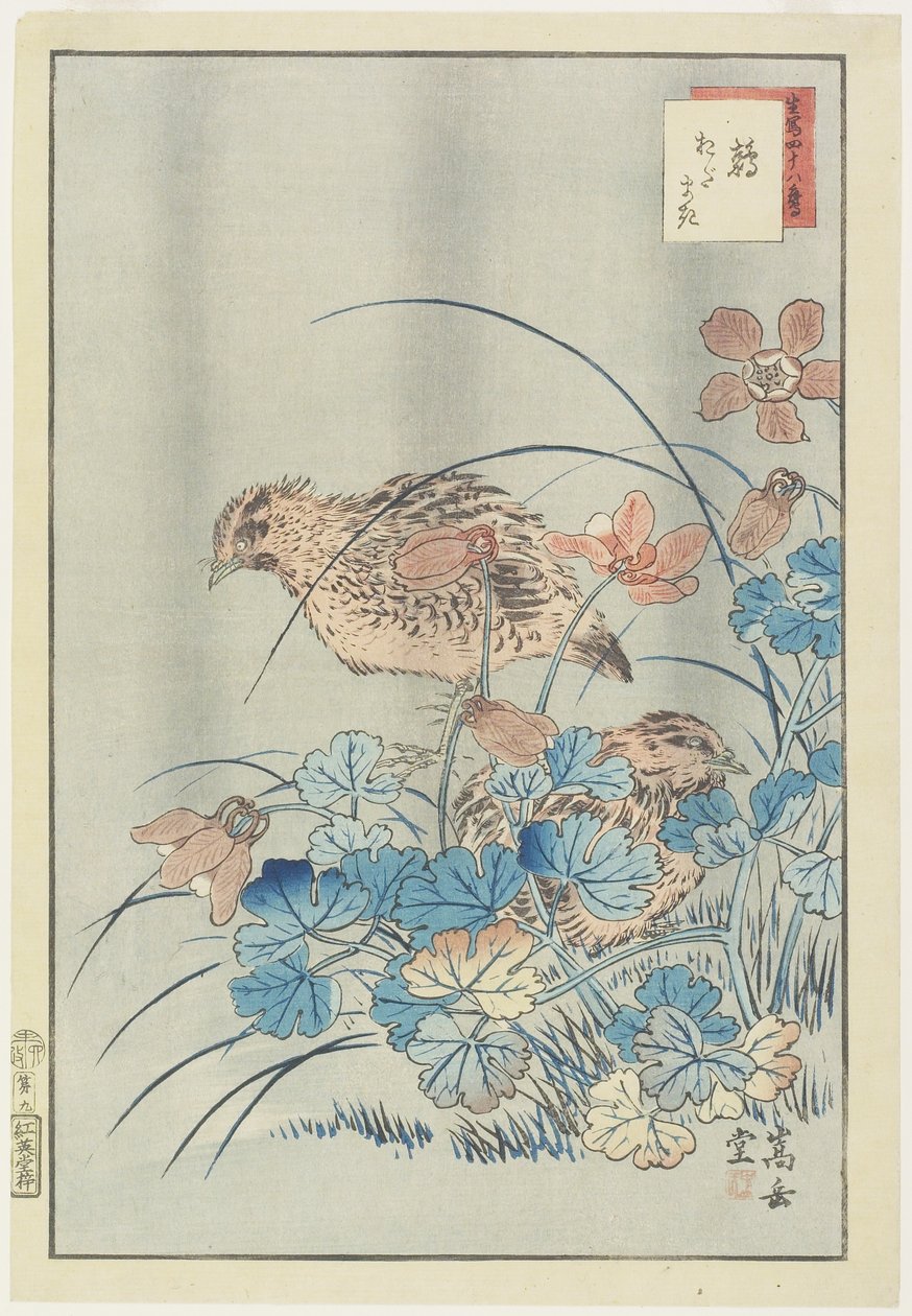 Two Quails in Bush, 1859 (värillinen puupalikkaprintti) tekijältä Nakayama Sugakudo