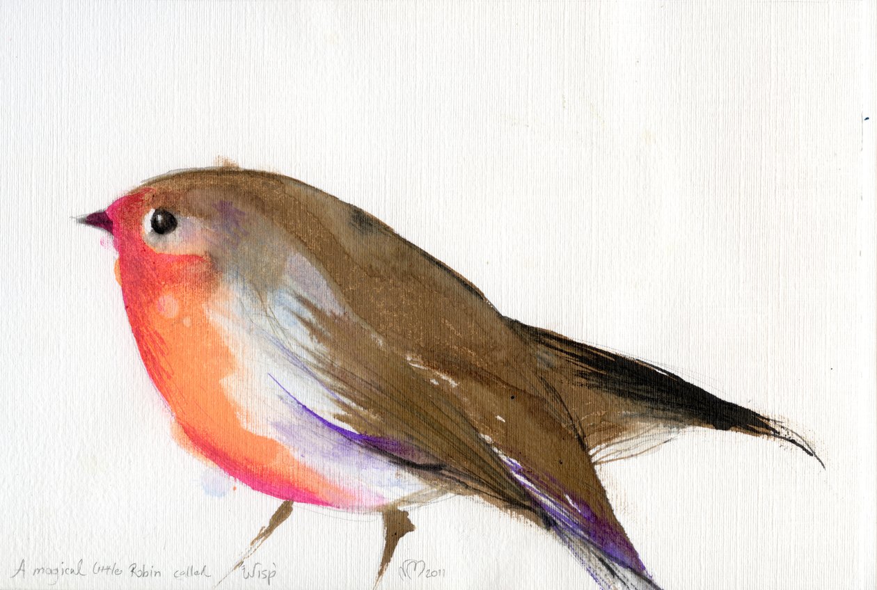 Maaginen pieni robin nimeltä Wisp, 2011, (muste paperille) tekijältä Nancy Moniz Charalambous