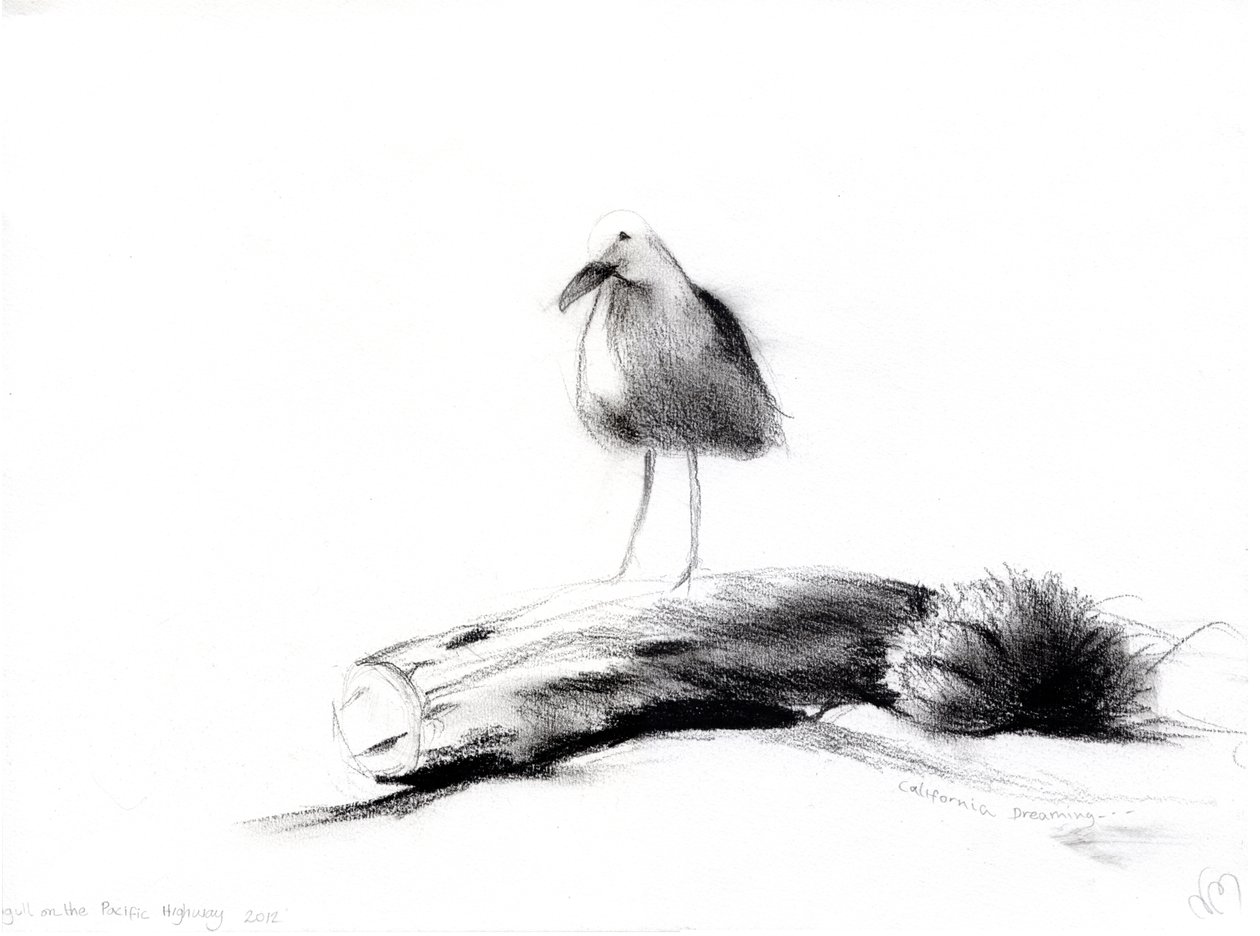 California Seagull, 2012, (hiili paperilla) tekijältä Nancy Moniz Charalambous