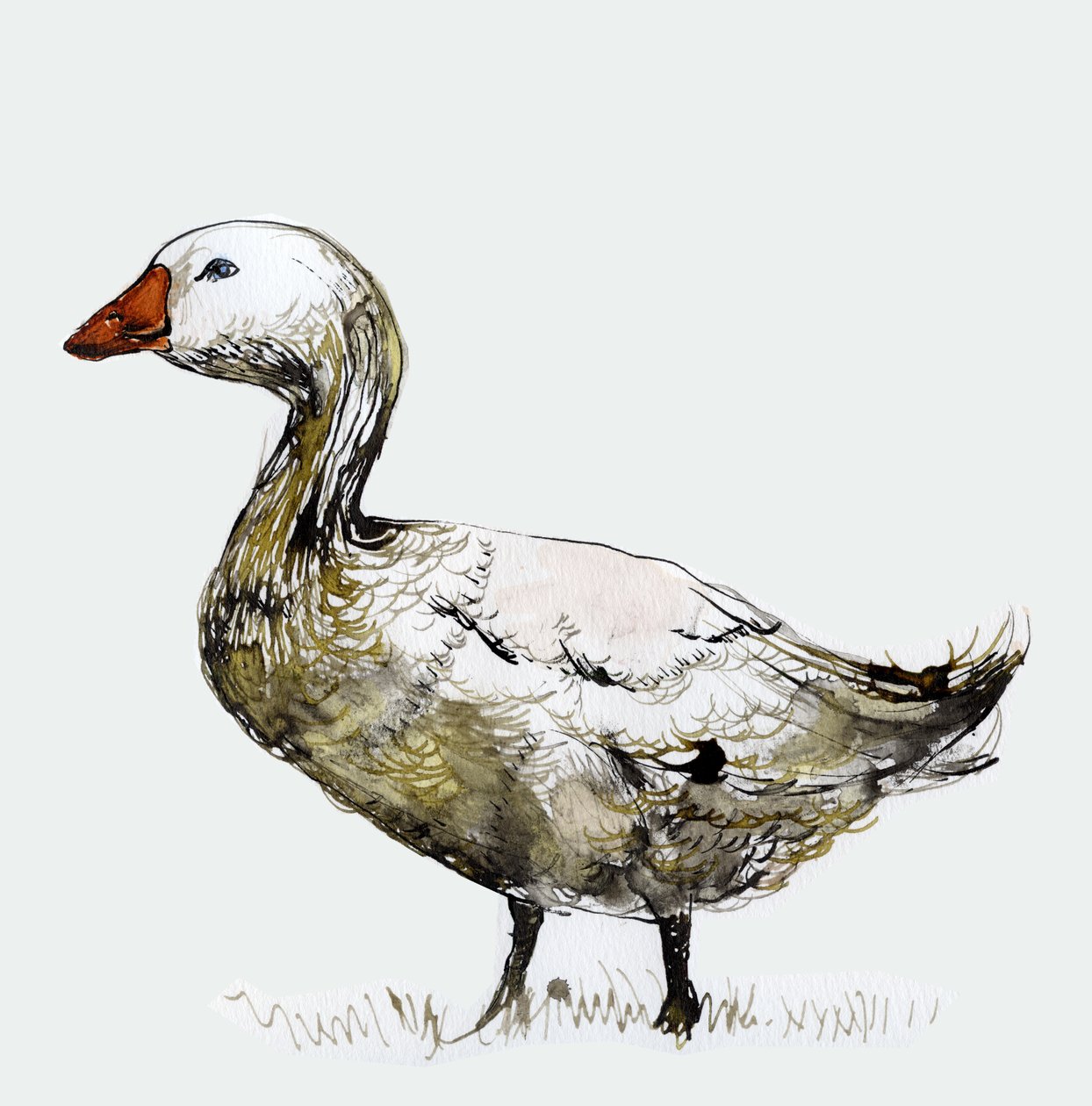 Filthy Goose, 2017, (muste paperille) tekijältä Nancy Moniz Charalambous